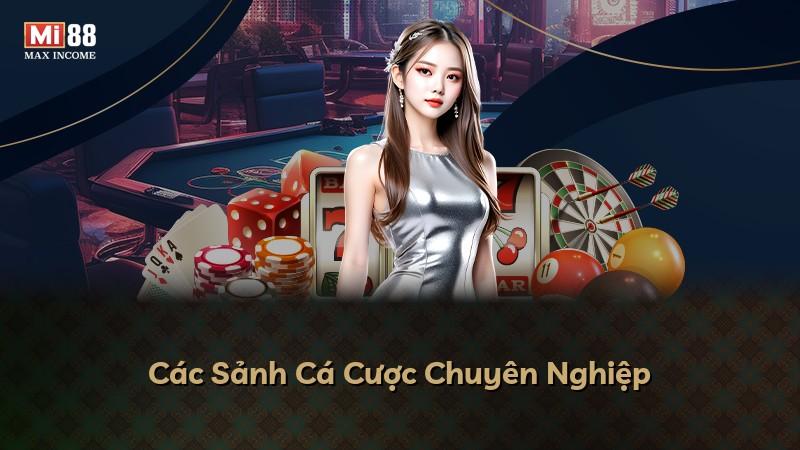Các Sảnh Cá Cược Chuyên Nghiệp