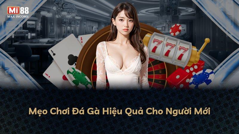 Mẹo Chơi Đá Gà Hiệu Quả Cho Người Mới