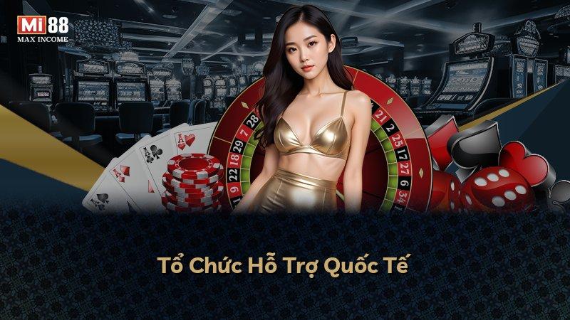 Tổ Chức Hỗ Trợ Quốc Tế